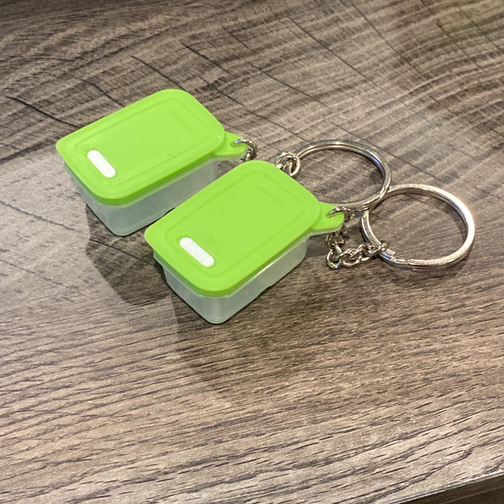 Tupperware Fridgesmart Keychains
